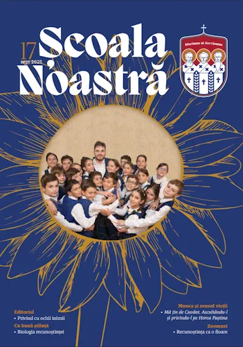 Revista 17
