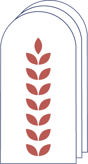 identitate2